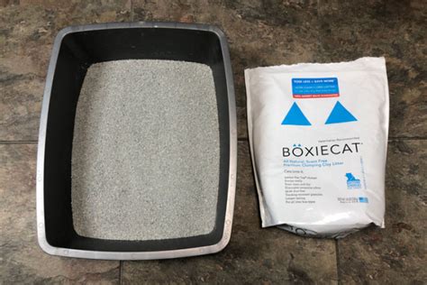 can boxiecat be used in an electric cat box|boxie cat cat litter reviews.